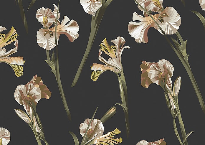 Ted Baker Wild Iris, Black - Roller Blind - Image 6